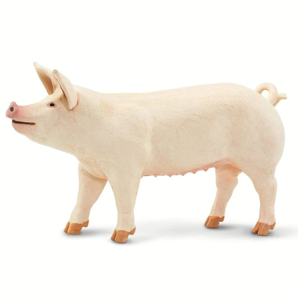 Φωτογραφία προϊόντος: Μινιατούρες Safari - Large White Pig - Μεγάλο Λευκό Γουρούνι