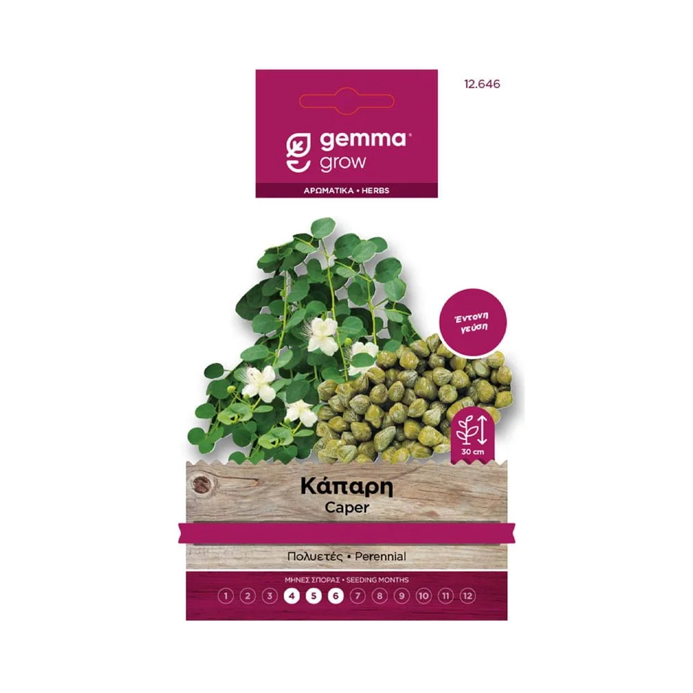 Φωτογραφία προϊόντος: Gemma Κάπαρη - 12646