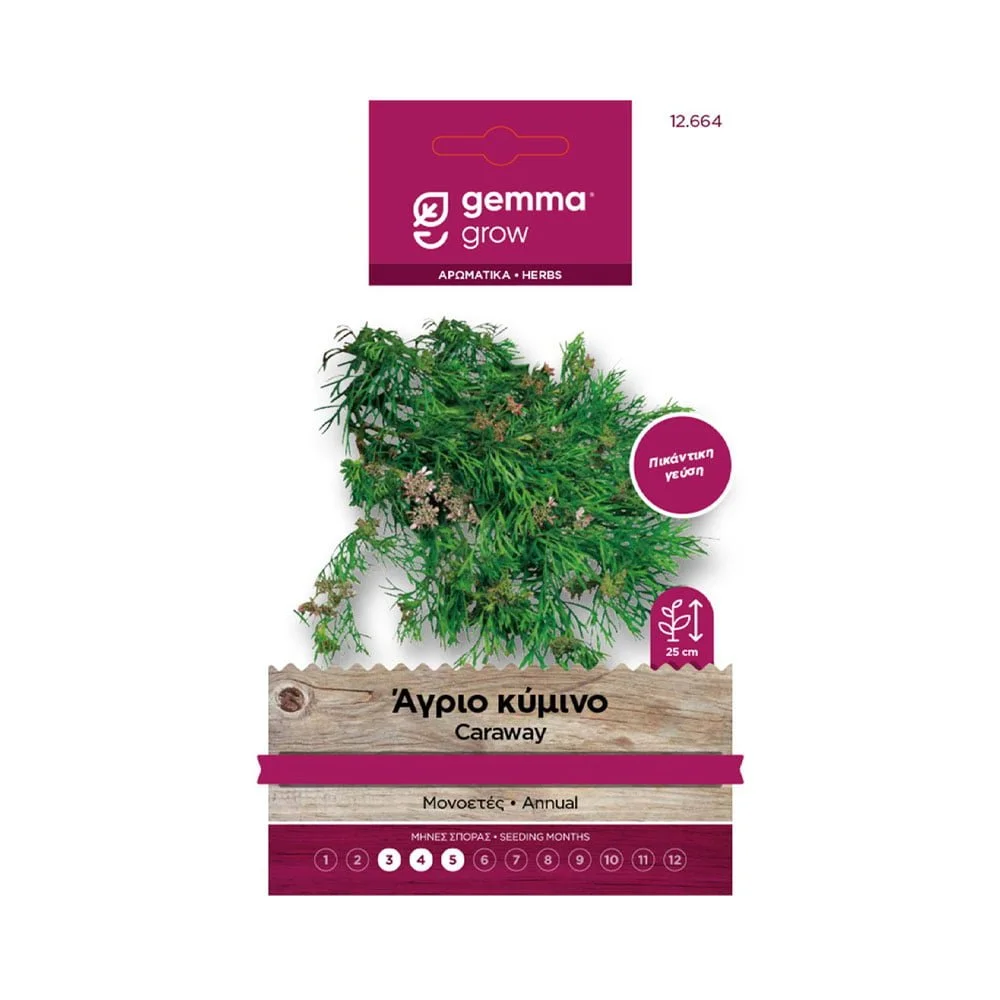 Φωτογραφία προϊόντος: Gemma Κύμινο Άγριο - 12664