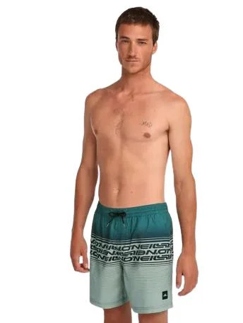Φωτογραφία προϊόντος: ONeill Logo Stripe 16 Swimshorts - Green