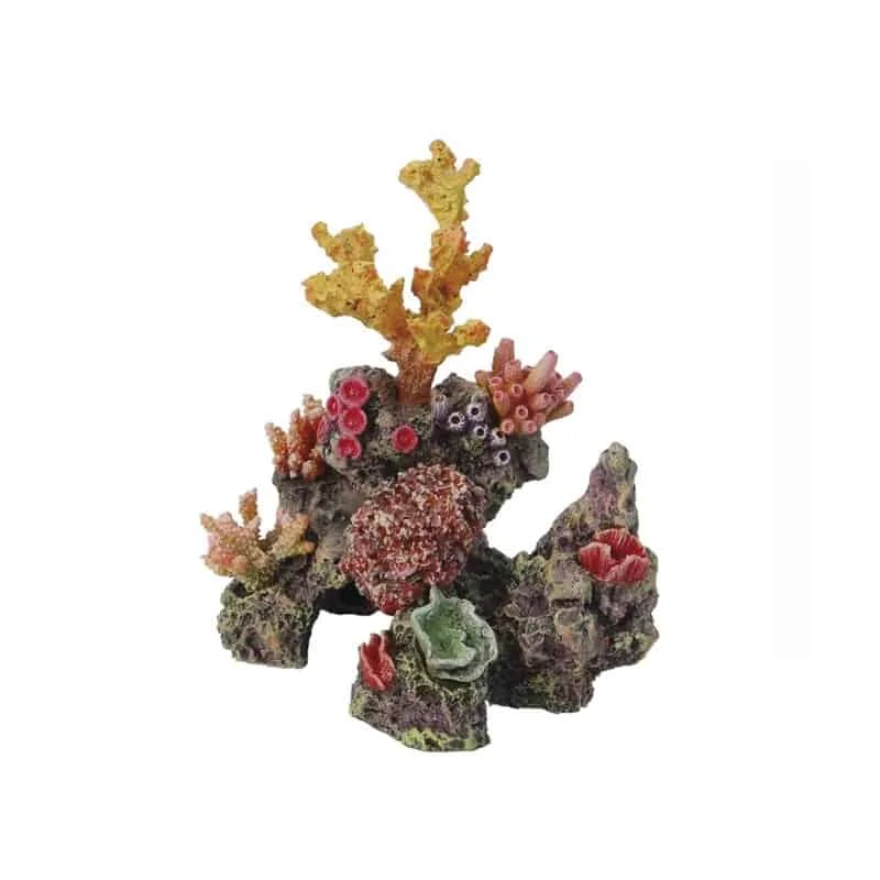 Φωτογραφία προϊόντος: HAQUOSS REEF DREAM 7 - 125X12X165H mm