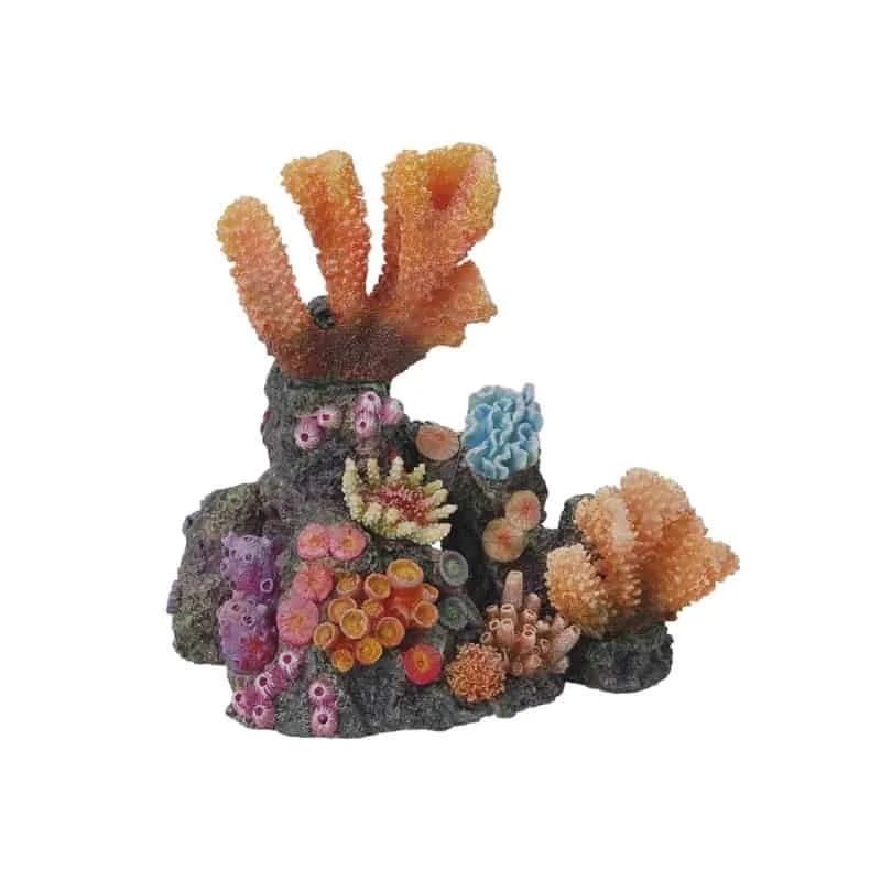 Φωτογραφία προϊόντος: HAQUOSS REEF DREAM 10 - 180X125X18H mm