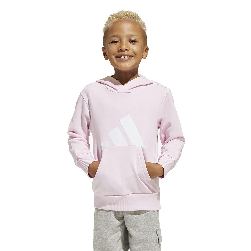 Φωτογραφία προϊόντος: adidas Performance Adidas Essentials Big Logo Hoodie