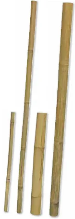 Φωτογραφία προϊόντος: Hobby μπαστούνι Bamboo ιδανικά για το σχεδιασμό ενός φυσικού τεράριουμ 50 cm, O 2-3 cm Hobby (4011444350602)