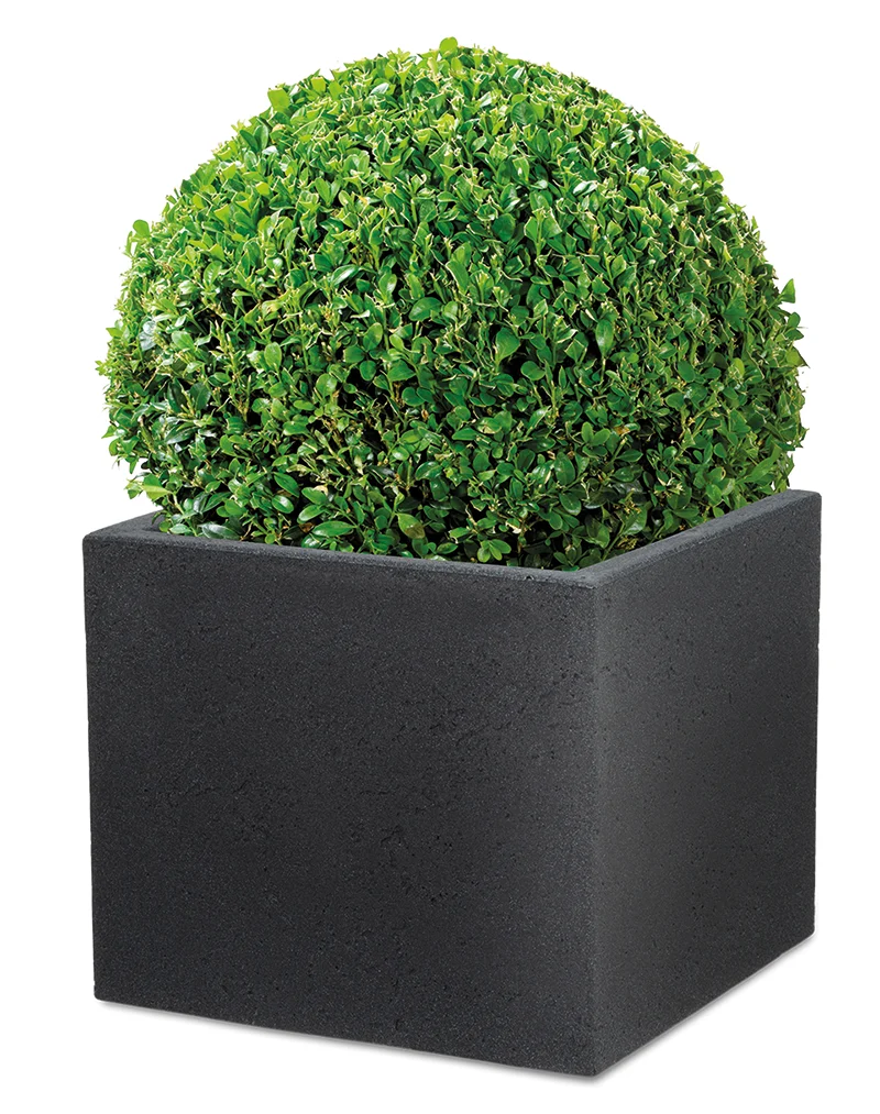 Φωτογραφία προϊόντος: Scheurich C-Cube Stony Black 240/30