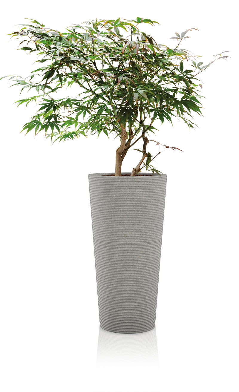 Φωτογραφία προϊόντος: Scheurich Coneo High Taupe 243/70
