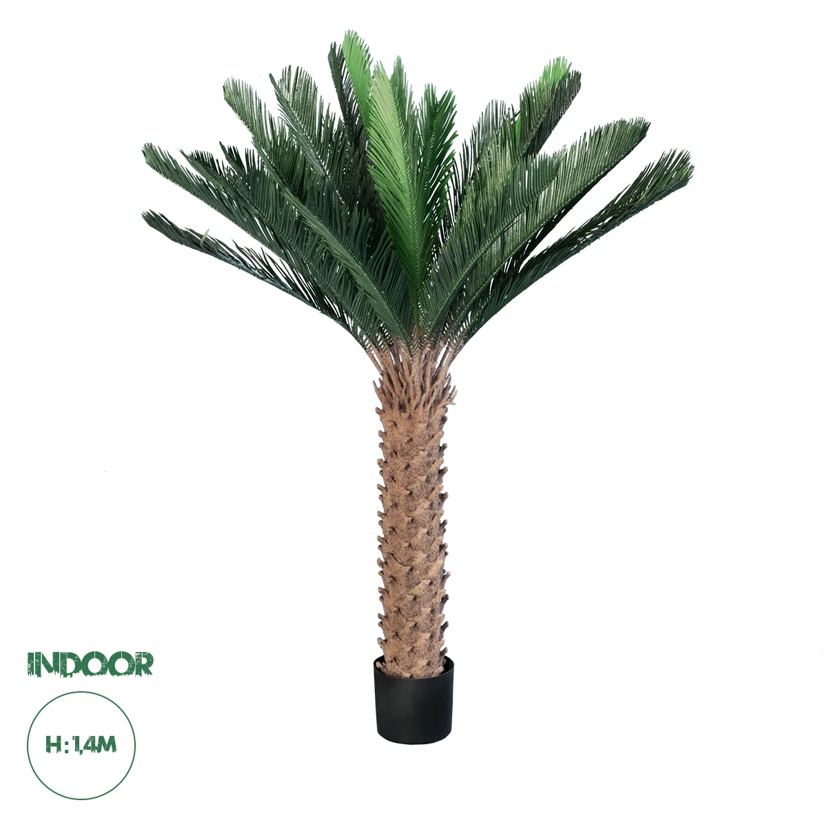 Φωτογραφία προϊόντος: GloboStar(R) Artificial Garden CYCADS 20023 Τεχνητό Διακοσμητικό Φυτό Αρωματική Κύκας Υ140cm - - 20023