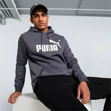 Φωτογραφία προϊόντος: PUMA ESS BIG LOGO HOODIE 586687 23 GALACTIC GREY