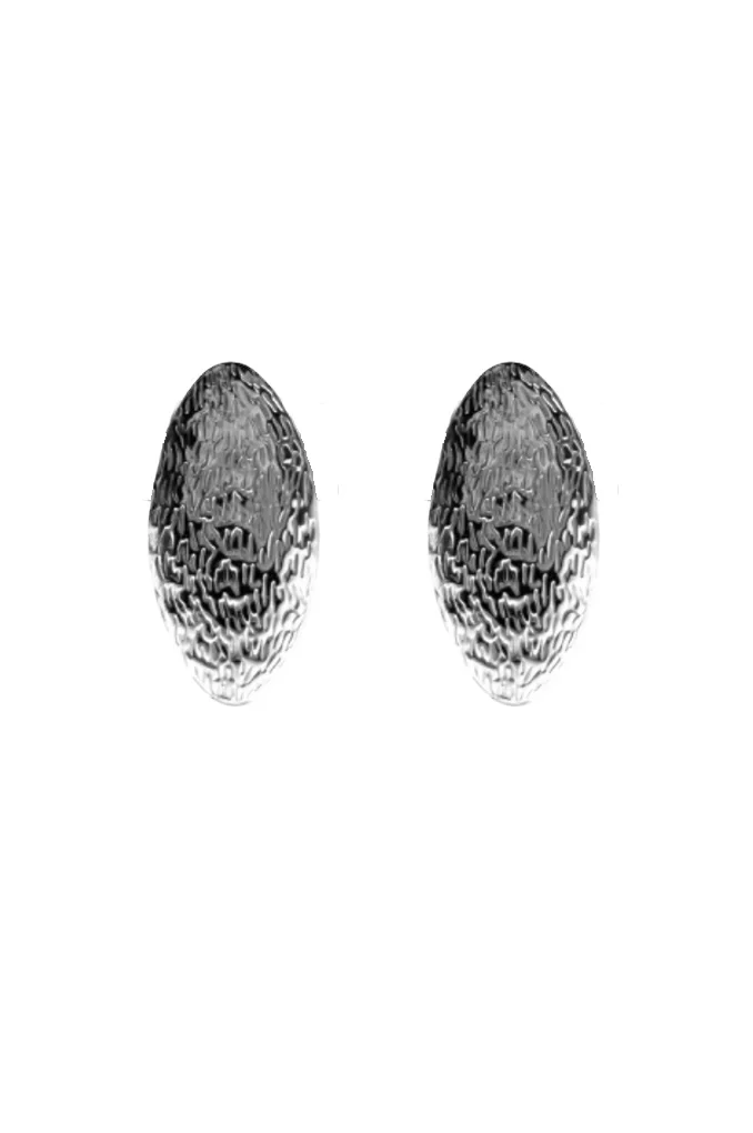 Φωτογραφία προϊόντος: Regalis Fiji Silver Steel Earrings(Ανοξείδωτο Ατσάλι)