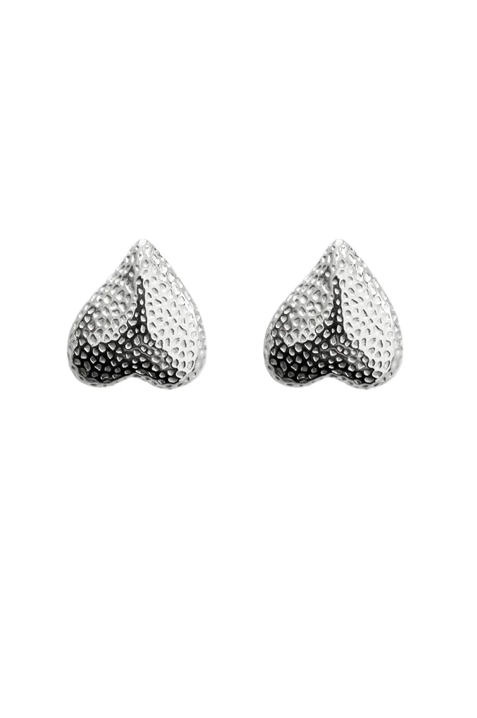 Φωτογραφία προϊόντος: Regalis India Silver Steel Earrings(Ανοξείδωτο Ατσάλι)