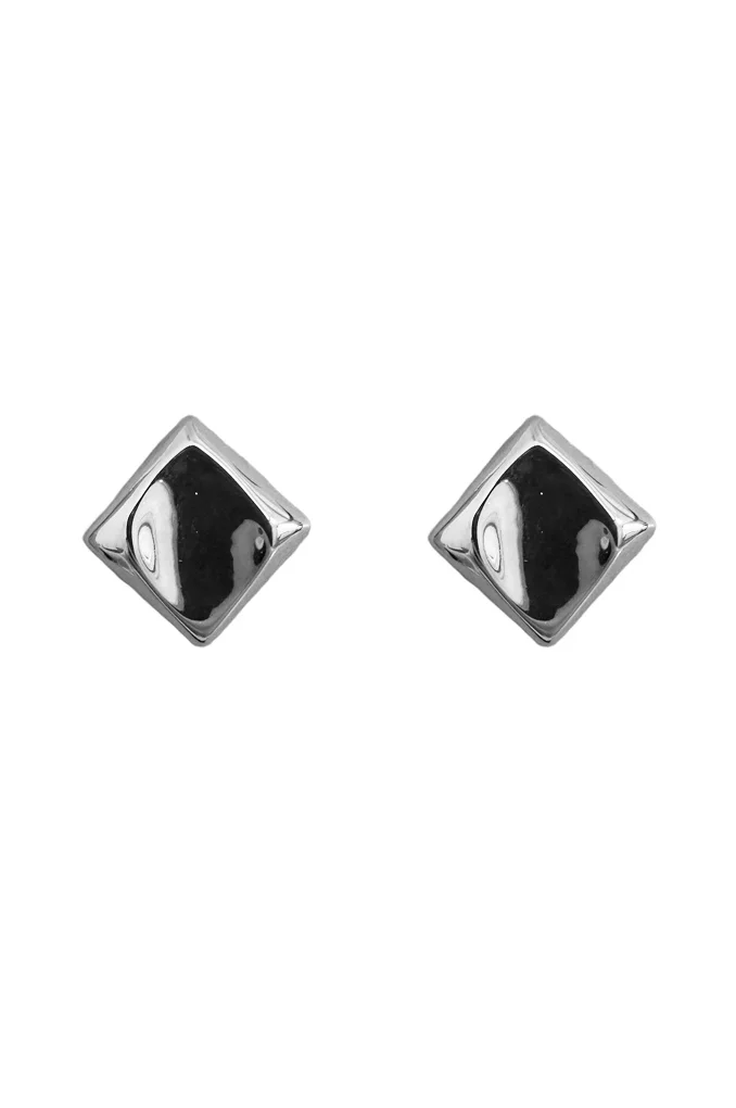 Φωτογραφία προϊόντος: Regalis Belize Silver Steel Earrings(Ανοξείδωτο Ατσάλι)