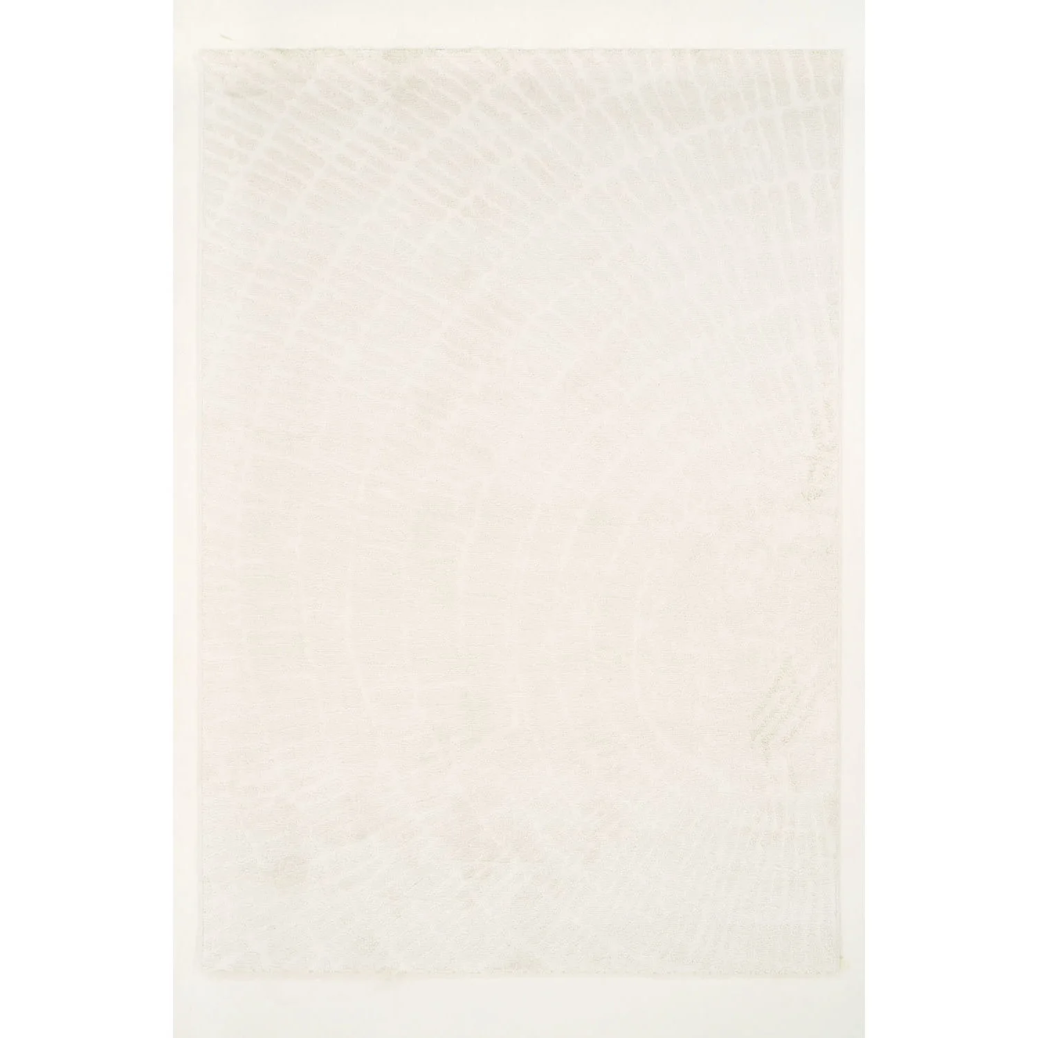 Φωτογραφία προϊόντος: Χαλί ezzo Pavia F045A3R CREAM 080X150