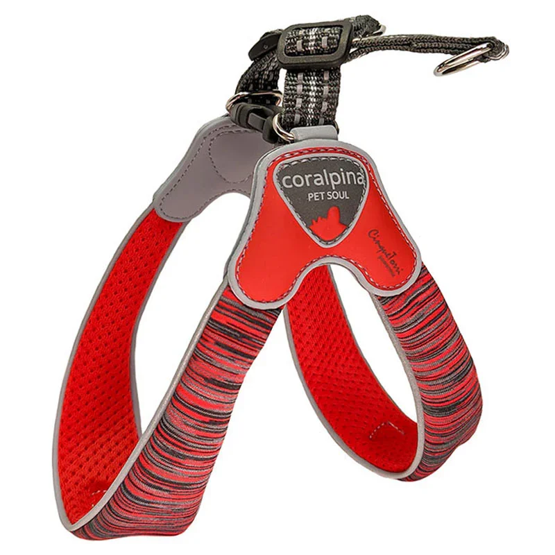 Φωτογραφία προϊόντος: Coralpina Powermix Cinquetorri Harness Size 6 (7-10kg)