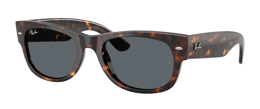 Φωτογραφία προϊόντος: RAY-BAN 0832S 902/R5