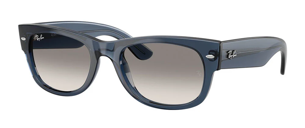 Φωτογραφία προϊόντος: RAY-BAN 0832S 684532