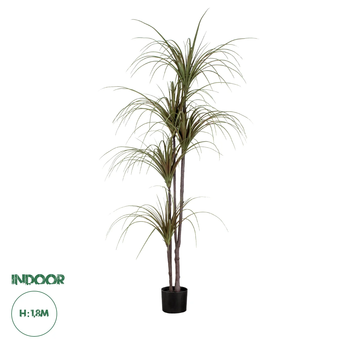 Φωτογραφία προϊόντος: GloboStar(R) Artificial Garden DRAGON BLOOD TREE 20016 Τεχνητό Διακοσμητικό Φυτό Δράκαινα Υ180cm - - 20016