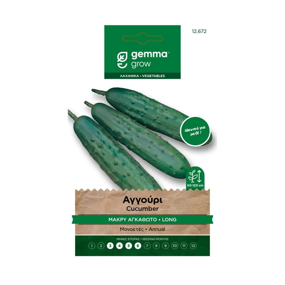 Φωτογραφία προϊόντος: Gemma Αγγούρι Μακρύ Αγκαθωτό - 1541