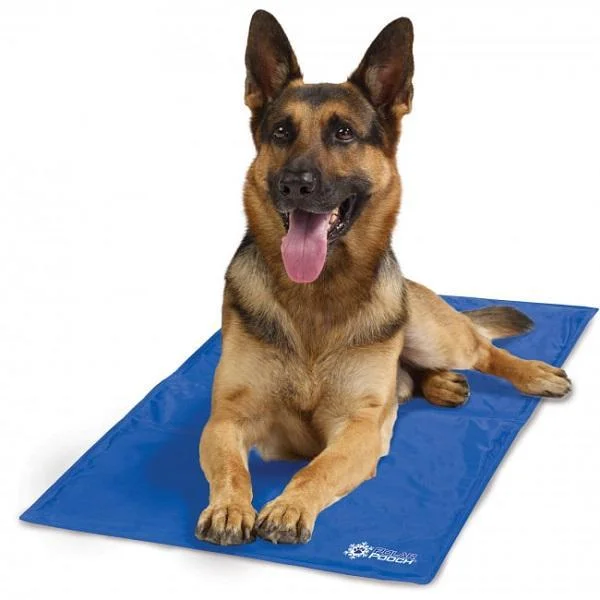 Φωτογραφία προϊόντος: OEM Polar Pooch Pet Cooling Mat Χαλάκι 80cmx55cm μπλε 31829592