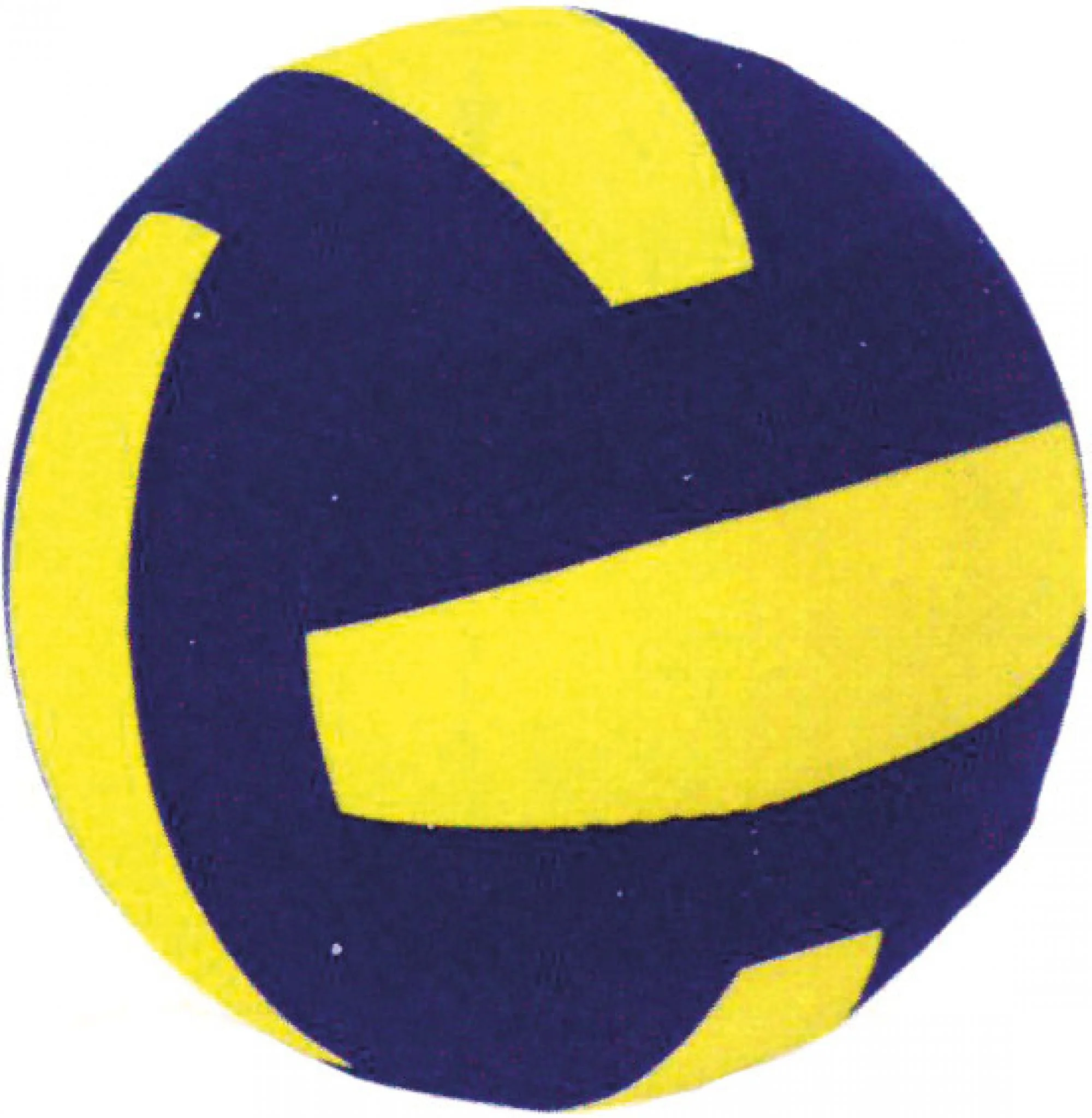Φωτογραφία προϊόντος: Amila Μπάλα Βόλεϋ Neoprene