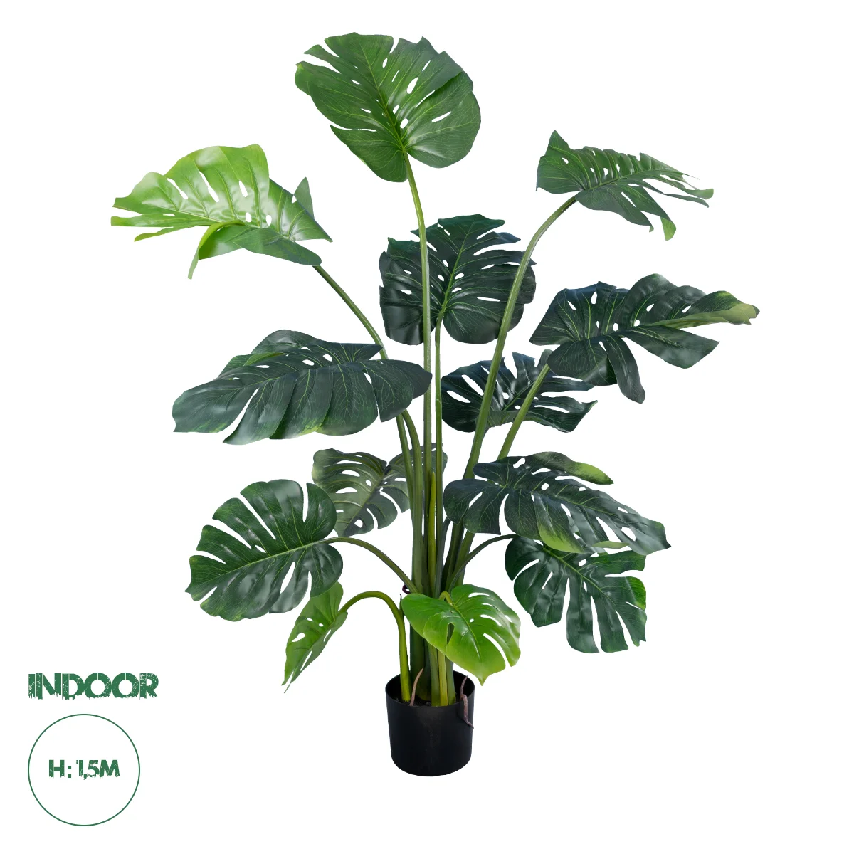 Φωτογραφία προϊόντος: GloboStar(R) Artificial Garden MONSTERA 20003 Τεχνητό Διακοσμητικό Φυτό Μονστέρα Υ150cm - - 20003