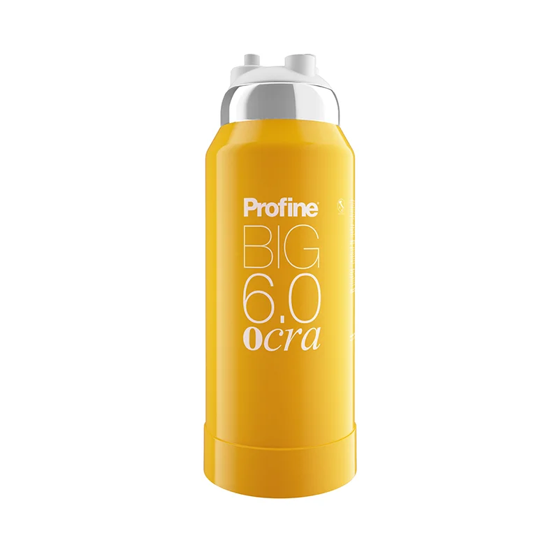 Φωτογραφία προϊόντος: Profine Ocra Big-6.0 Φίλτρο Ολικής Αποσκλήρυνσης Αλάτων