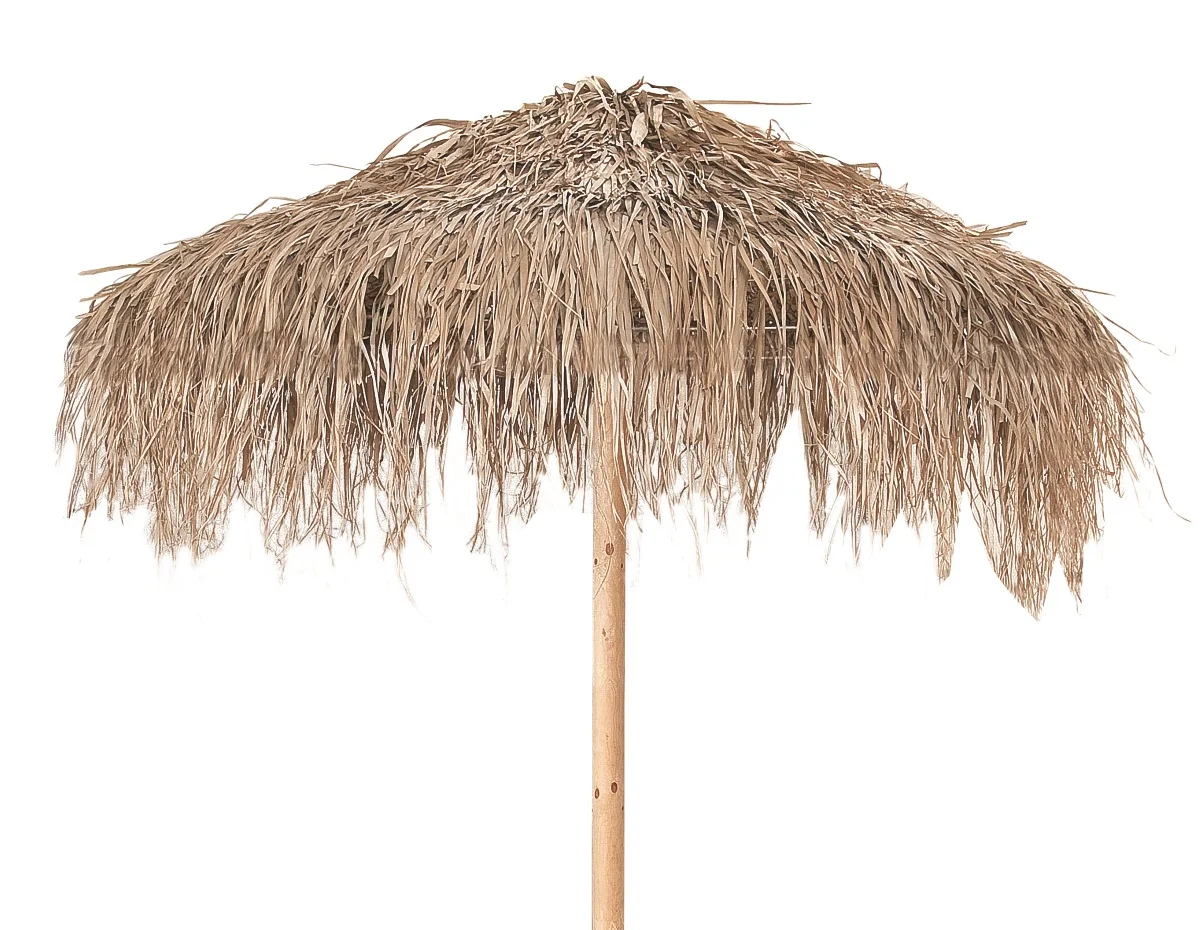Φωτογραφία προϊόντος: Metaxakis Fun Palm Umbrella