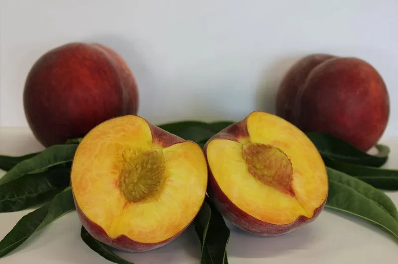 Φωτογραφία προϊόντος: Δέντρο ΡΟΔΑΚΙΝΟ Royal Peach