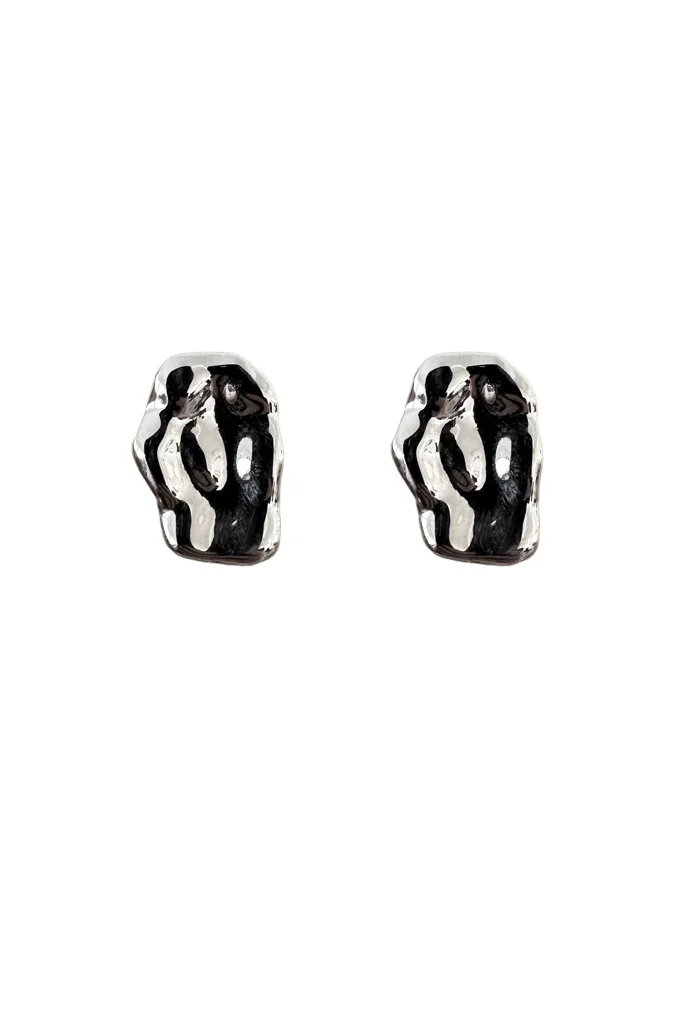 Φωτογραφία προϊόντος: Regalis Kuwait Silver Steel Earrings(Ανοξείδωτο Ατσάλι)