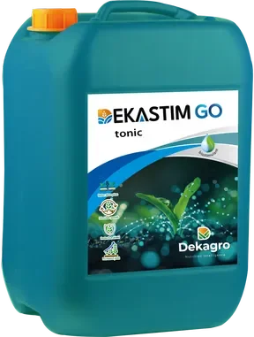 Φωτογραφία προϊόντος: Dekastin Go Tonic+1Mn+1Zn | 10lt