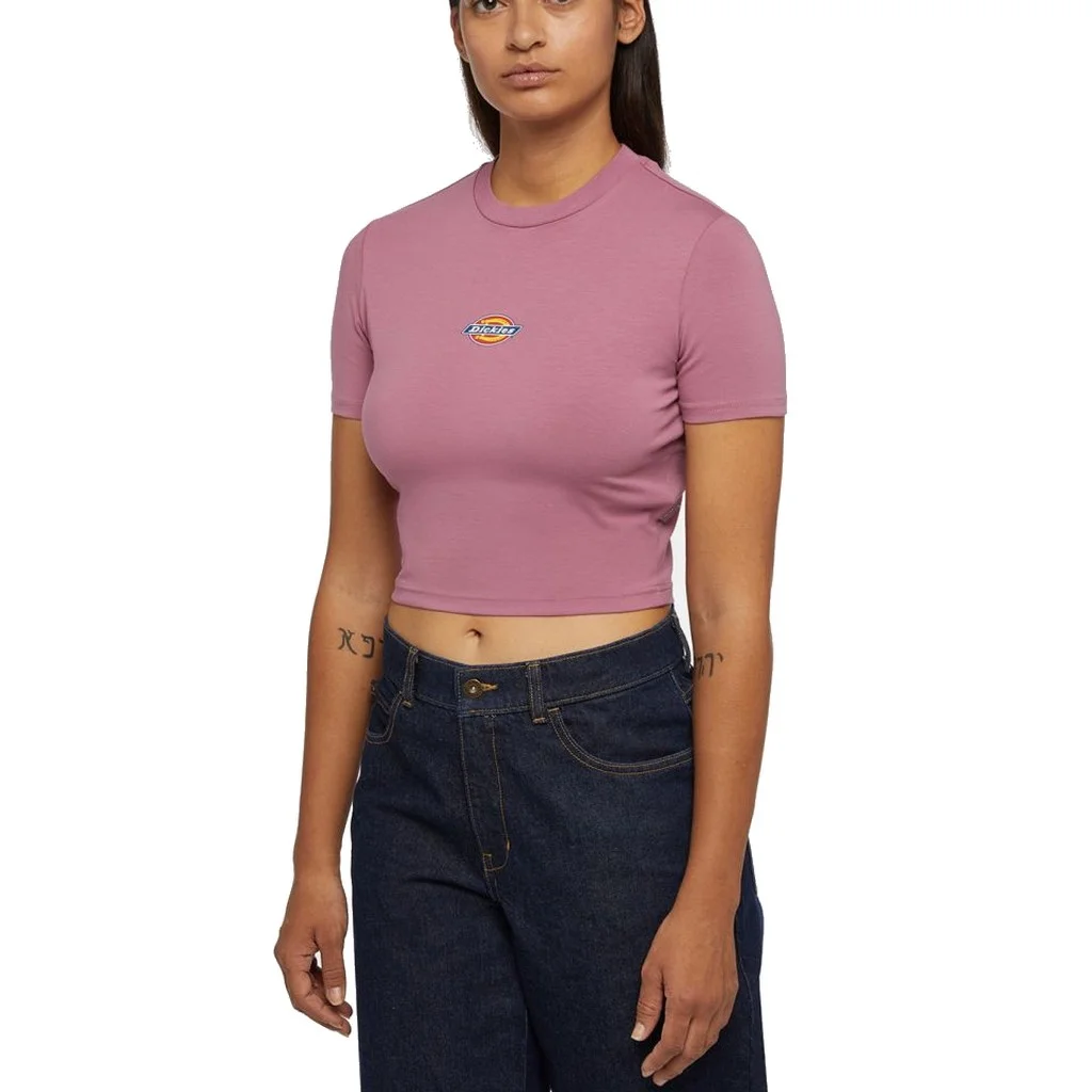 Φωτογραφία προϊόντος: Dickies Maple Valley T-Shirt (mellow mauve)