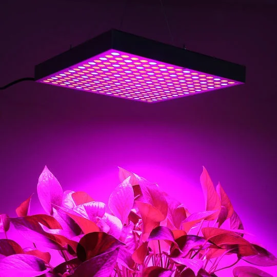 Φωτογραφία προϊόντος: Κρεμαστό Grow Light με LED και Ισχύ 45W
