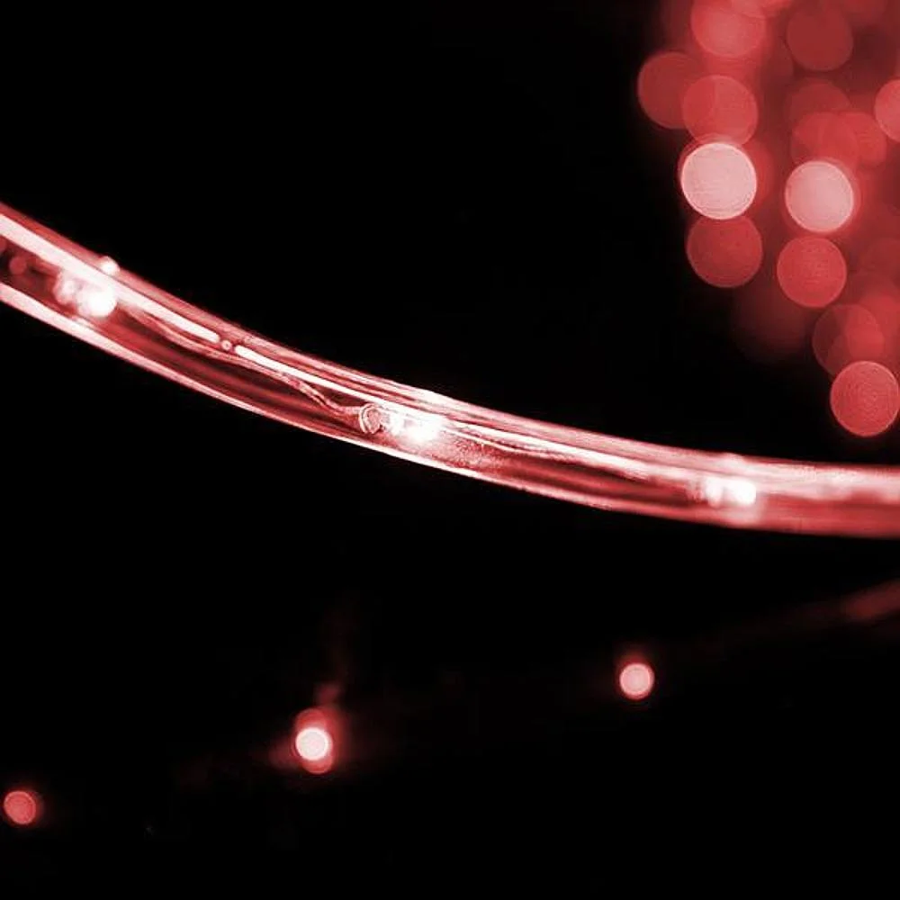 Φωτογραφία προϊόντος: Eurolamp ΦΩΤ/ΝΑ LED, ΔΙΚ/ΛH, ΚΟΚΚΙΝΗ, 50m. ΜΕ 36 LED ΑΝΑ ΜΕΤΡΟ, IP44