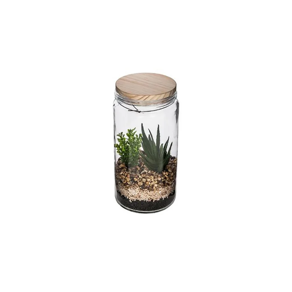 Φωτογραφία προϊόντος: Plastona Κάκτοι σε γυαλ.terrarium 2σχ.11X22