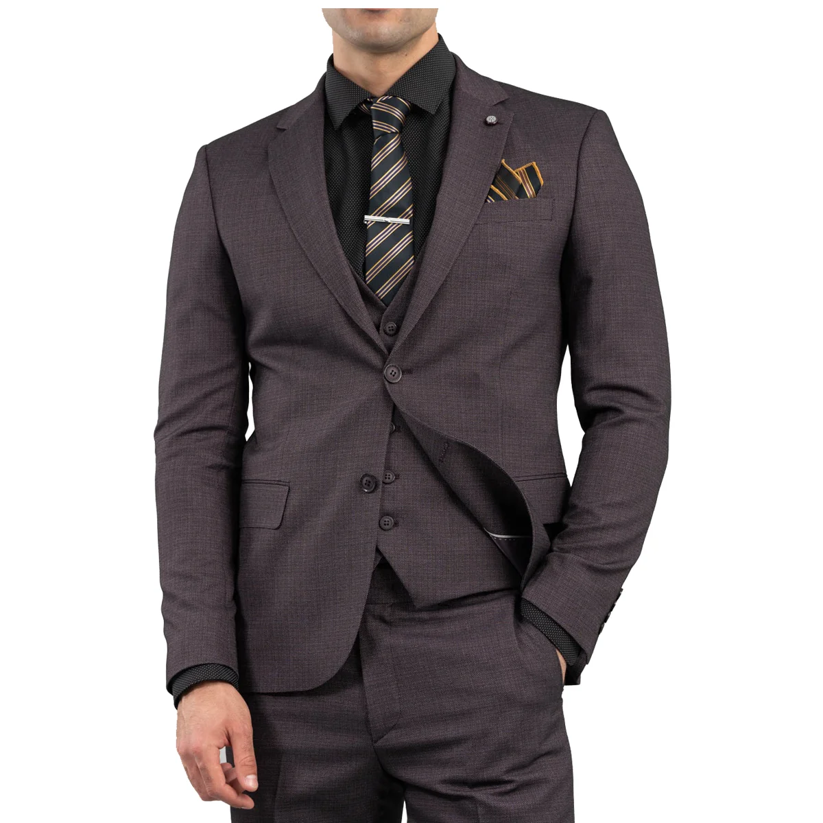 Φωτογραφία προϊόντος: ARTISTI ITALIANI VITTORIO - LUCA SUIT - 100-2324 PURLPE Μωβ