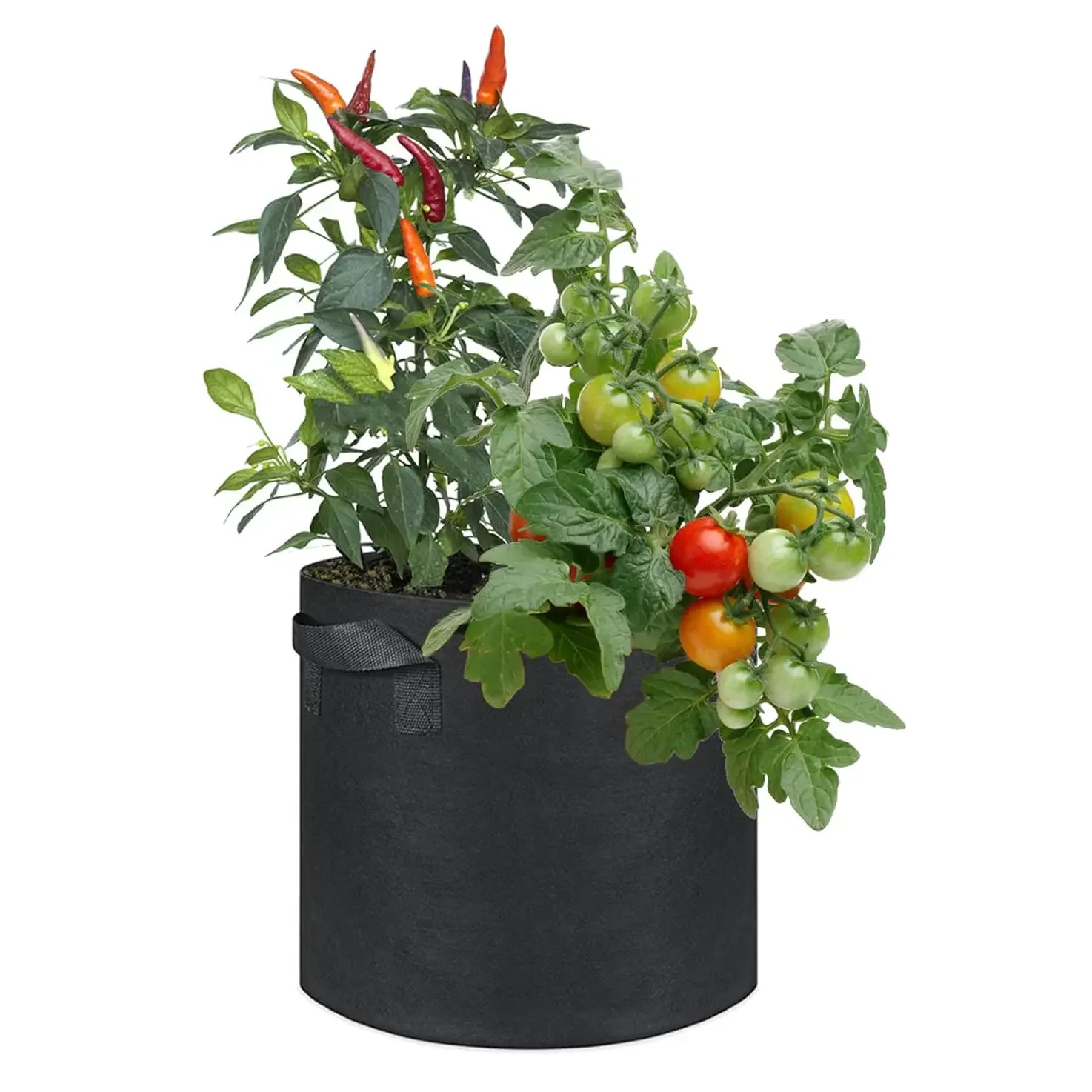 Φωτογραφία προϊόντος: σάκος φύτευσης G-GROWBAG V-80 - για λαχανικά