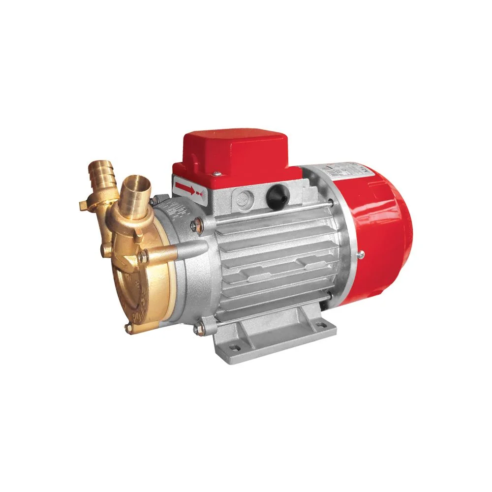 Φωτογραφία προϊόντος: ΗΛΕΚΤΡΑΝΤΛΙΑ ROVER MARINA 20-24V 2850rpm
