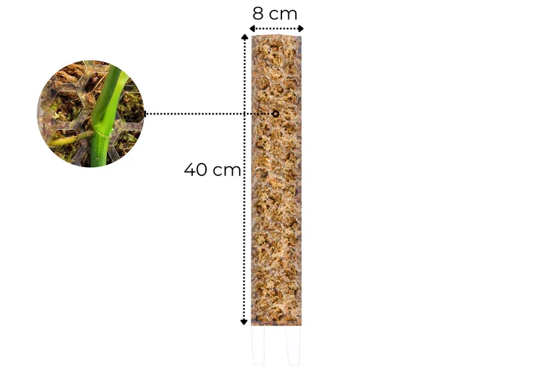 Φωτογραφία προϊόντος: Moss Pole Crystal Clear Large 40cm x 8cm