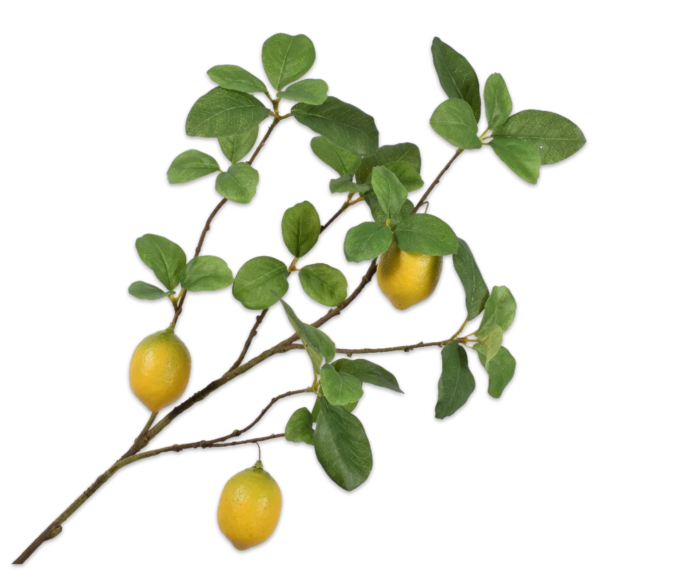Φωτογραφία προϊόντος: -LEMON SPRAY YELLOW 98 CM
