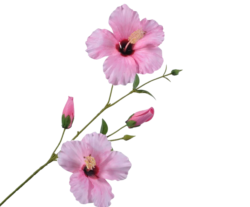 Φωτογραφία προϊόντος: -HIBISCUS STEM PINK 75 CM