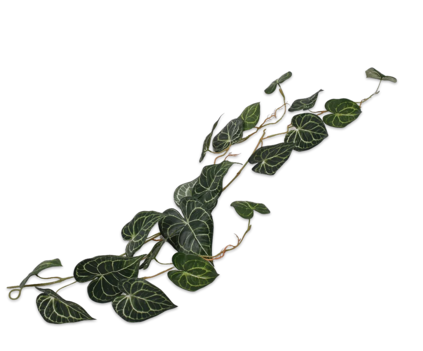 Φωτογραφία προϊόντος: -IVY HANG GREEN 105 CM