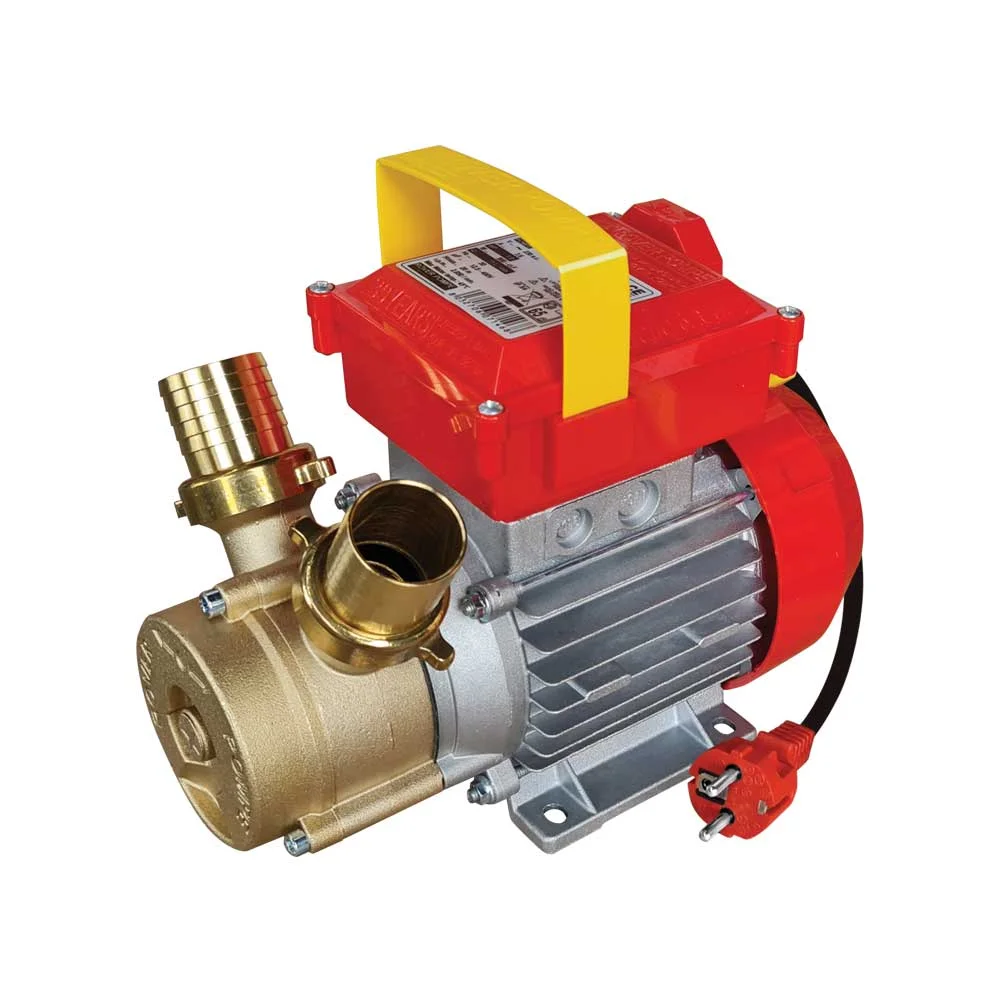 Φωτογραφία προϊόντος: ΗΛΕΚΤΡΡΑΝΤΛΙΑ Rover 35 CE 1HP 2850rpm