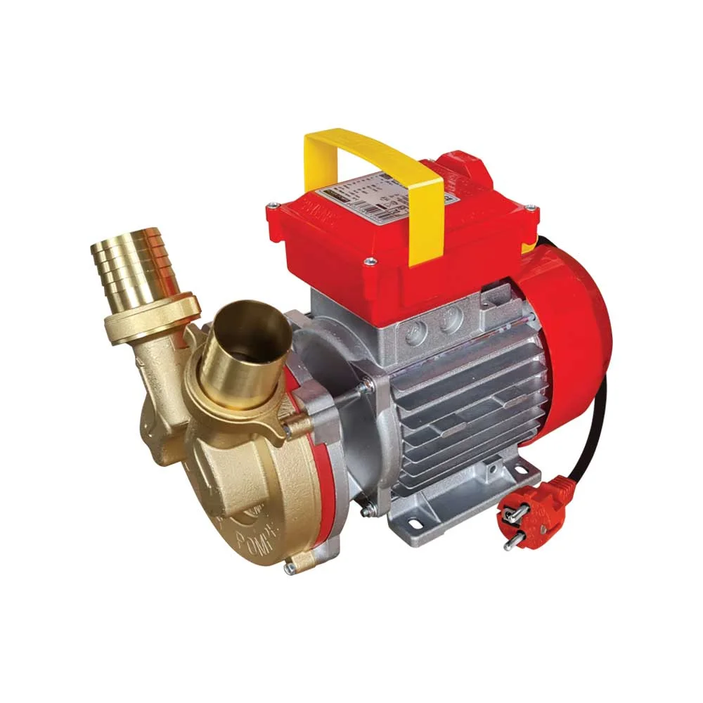 Φωτογραφία προϊόντος: ΗΛΕΚΤΡΑΝΤΛΙΑ ROVER 40 CE 1HP 1450rpm