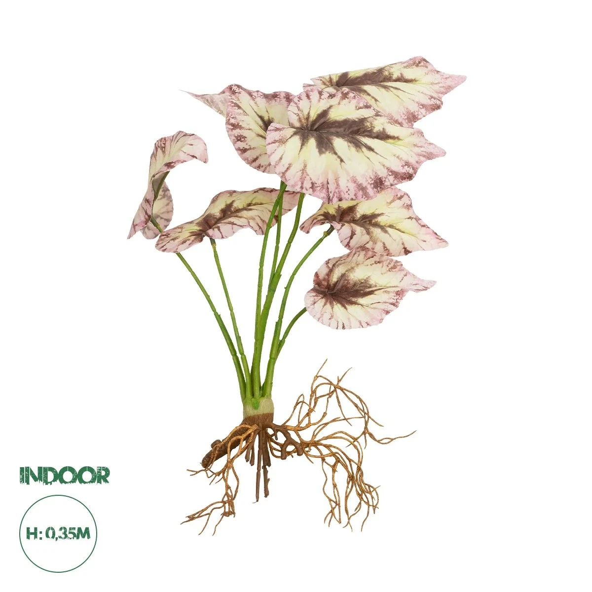 Φωτογραφία προϊόντος: GloboStar® Artificial Garden BEGONIA LEAVES ROOTED 21489 Τεχνητό Διακοσμητικό Φυτό Πολύχρωμη Βιγόνια Μ25 x Π14 x Υ35cm