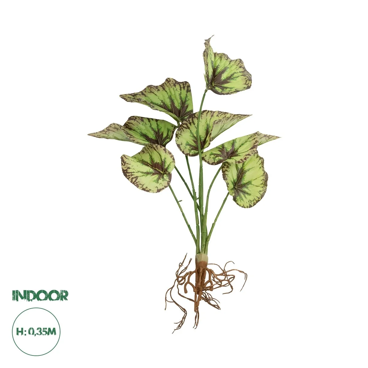 Φωτογραφία προϊόντος: GloboStar® Artificial Garden BEGONIA LEAVES ROOTED 21491 Τεχνητό Διακοσμητικό Φυτό Πολύχρωμη Βιγόνια Μ25 x Π14 x Υ35cm