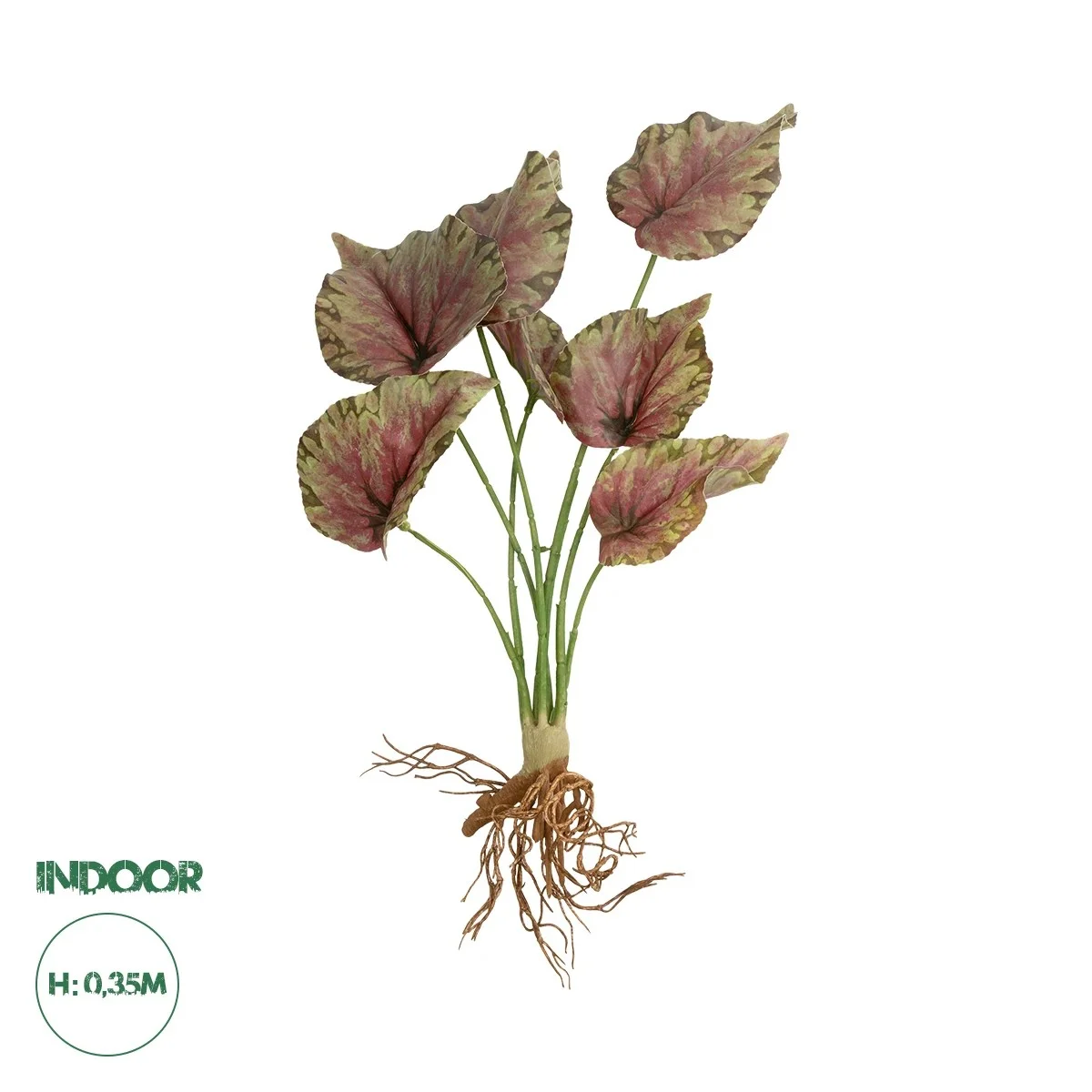 Φωτογραφία προϊόντος: GloboStar® Artificial Garden BEGONIA LEAVES ROOTED 21490 Τεχνητό Διακοσμητικό Φυτό Πολύχρωμη Βιγόνια Μ25 x Π14 x Υ35cm