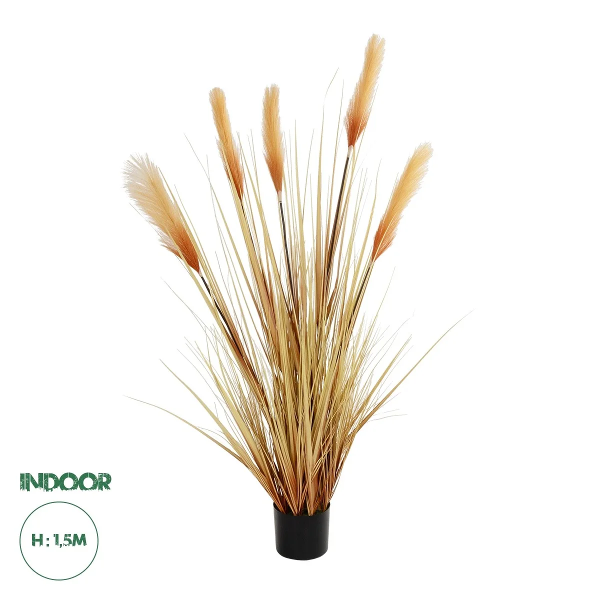 Φωτογραφία προϊόντος: GloboStar® Artificial Garden PAMPAS GRASS 21476 Τεχνητό Διακοσμητικό Φυτό Μπεζ Πάμπας Μ90 x Π40 x Υ150cm