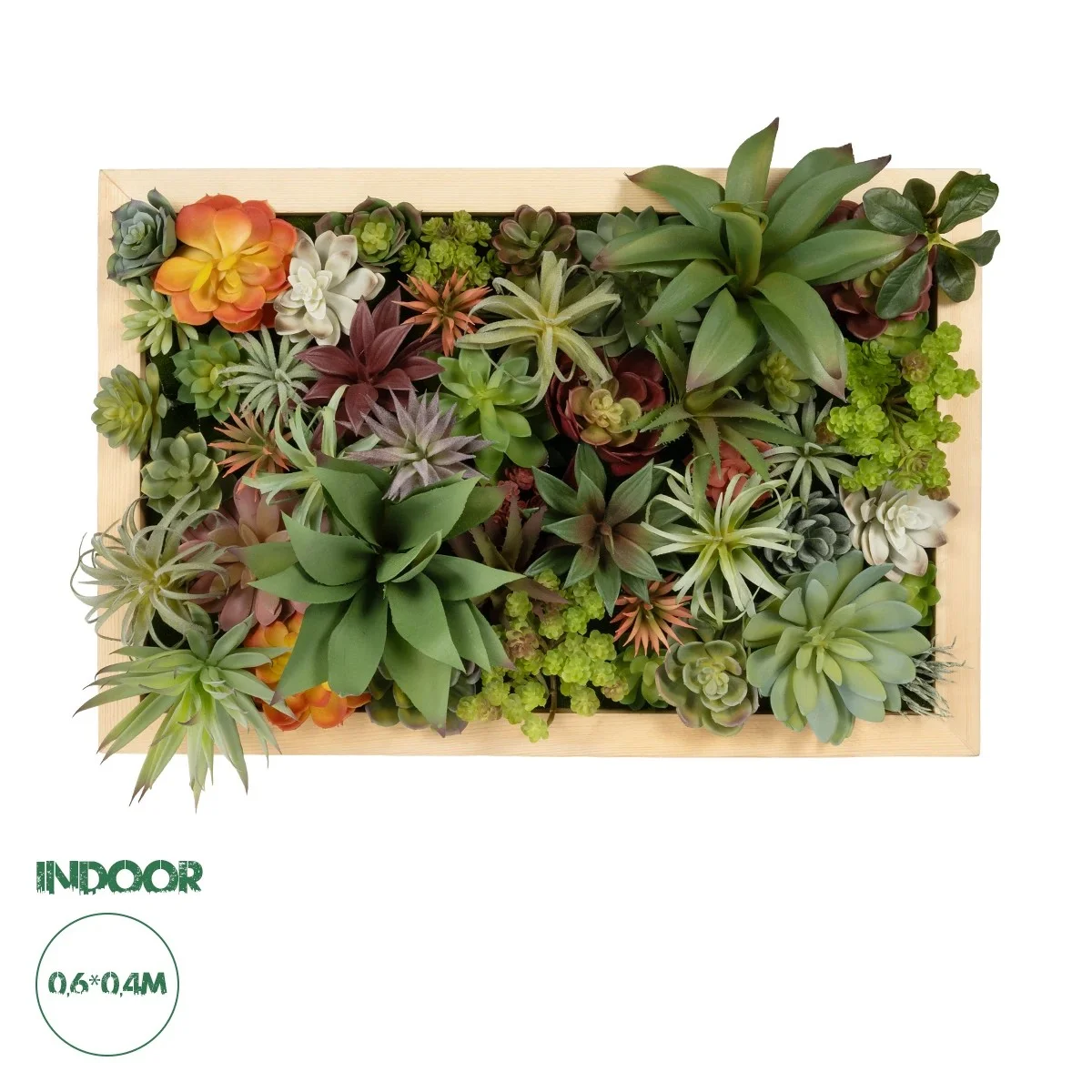 Φωτογραφία προϊόντος: GloboStar® Artificial Garden VARIOUS PLANT 20642 Τεχνητό Διακοσμητικό Φυλλωσιάς σε Ξύλινο Πάνελ - Κάθετος Κήπος Μιξ Μ60 x Π40 x Υ20cm