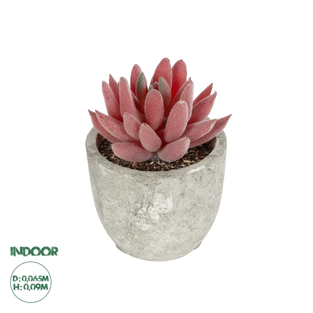 Φωτογραφία προϊόντος: GloboStar® Artificial Garden SUCCULENT SEDEVERIA 21020 Τεχνητό Διακοσμητικό Φυτό Σεδεβέρια Μ6.5 x Π6.5 x Υ9cm