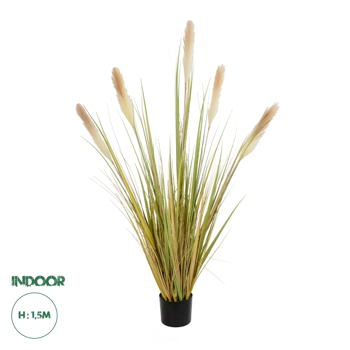 Φωτογραφία προϊόντος: GloboStar® Artificial Garden PAMPAS GRASS 21478 Τεχνητό Διακοσμητικό Φυτό Μπεζ & Πράσινο Πάμπας Μ90 x Π40 x Υ150cm