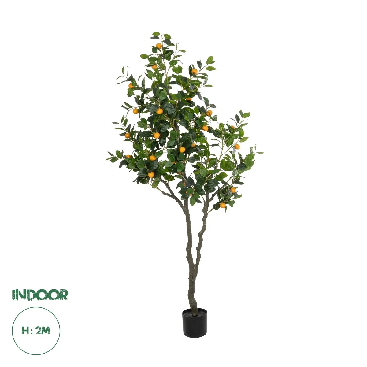 Φωτογραφία προϊόντος: GloboStar® Artificial Garden ORANGE TREE 21110 Τεχνητό Διακοσμητικό Δέντρο Πορτοκαλιά Μ110 x Π80 x Υ200cm